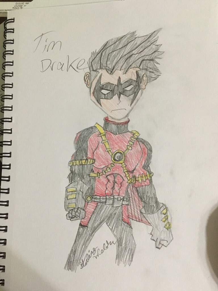 768x1024 Red Robin - Red Robin Drawing