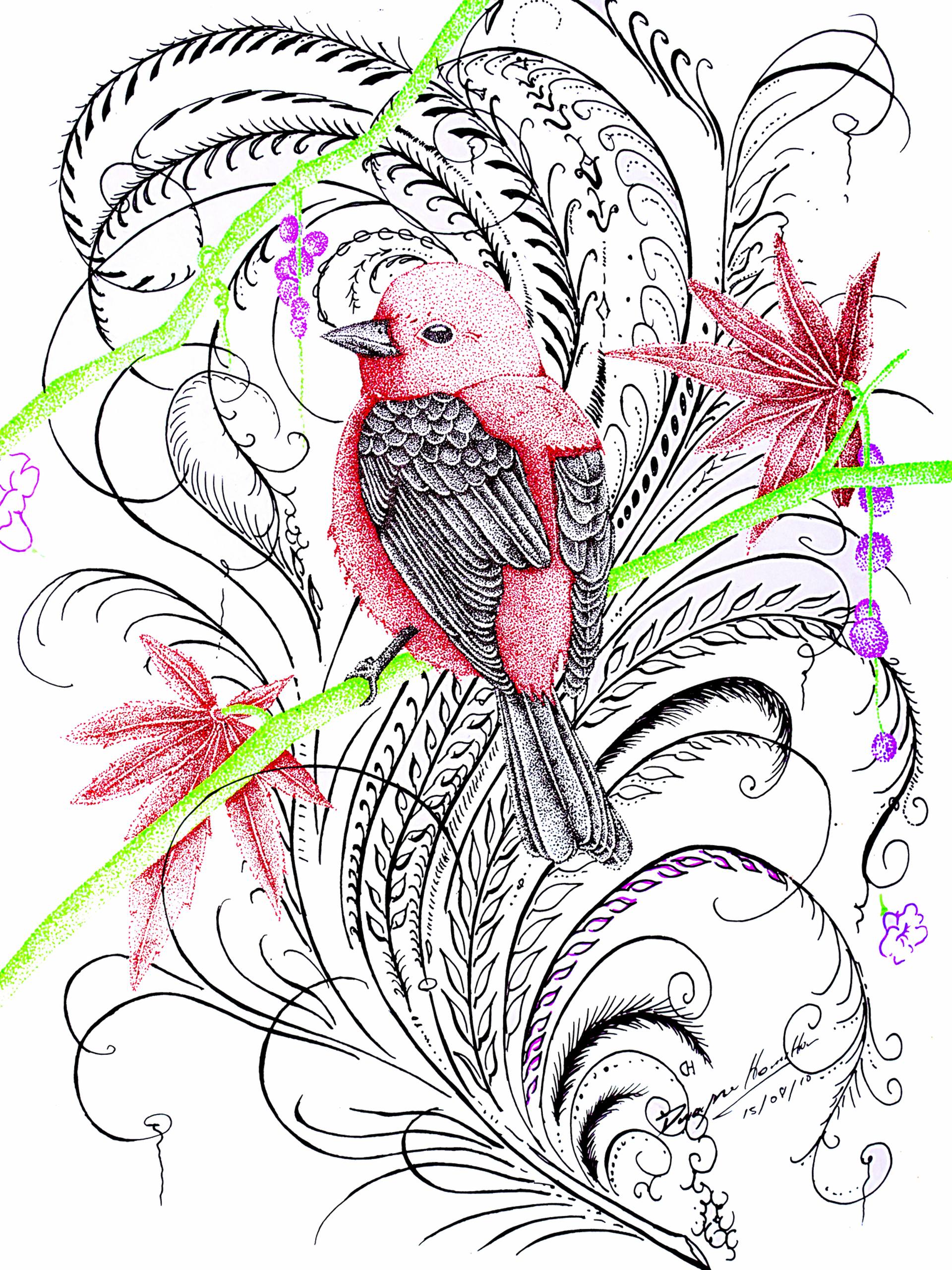 1920x2560 Red Robin Drawing - Red Robin Drawing