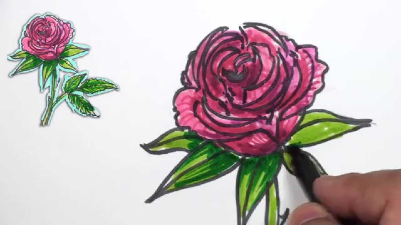 1280x720 How To Draw A Rose - Red Rose Drawing