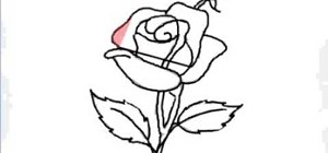 Red Rose Drawing at PaintingValley.com | Explore collection of Red Rose ...