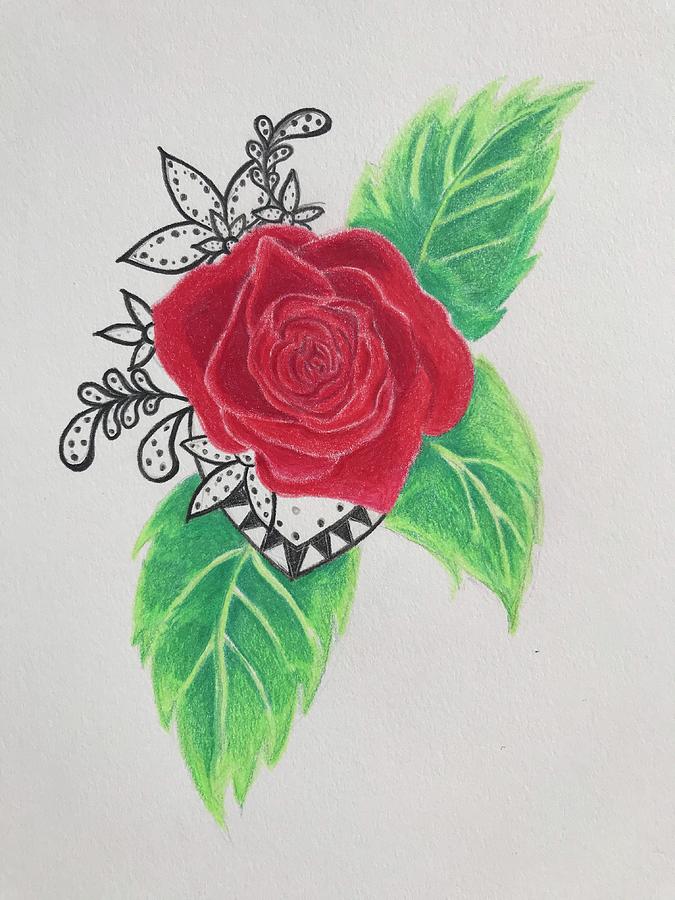 675x900 Red Rose Drawing - Red Rose Drawing