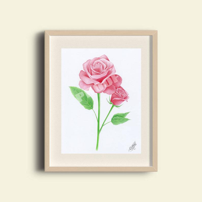 Red Rose Drawing at PaintingValley.com | Explore collection of Red Rose ...