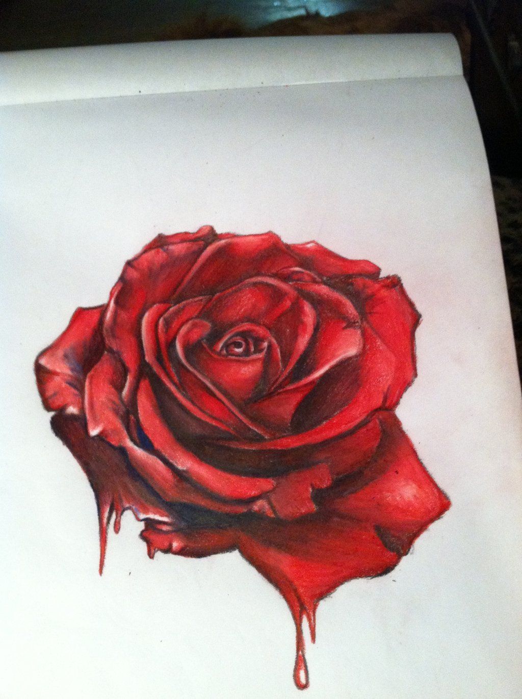 1024x1371 realism rose drawing realistic red rose drawing hyper - Red Rose Drawing