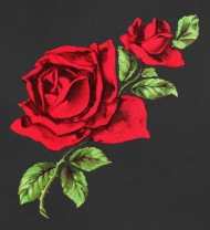 190x208 two red roses drawing apron spreadshirt - Red Rose Drawing