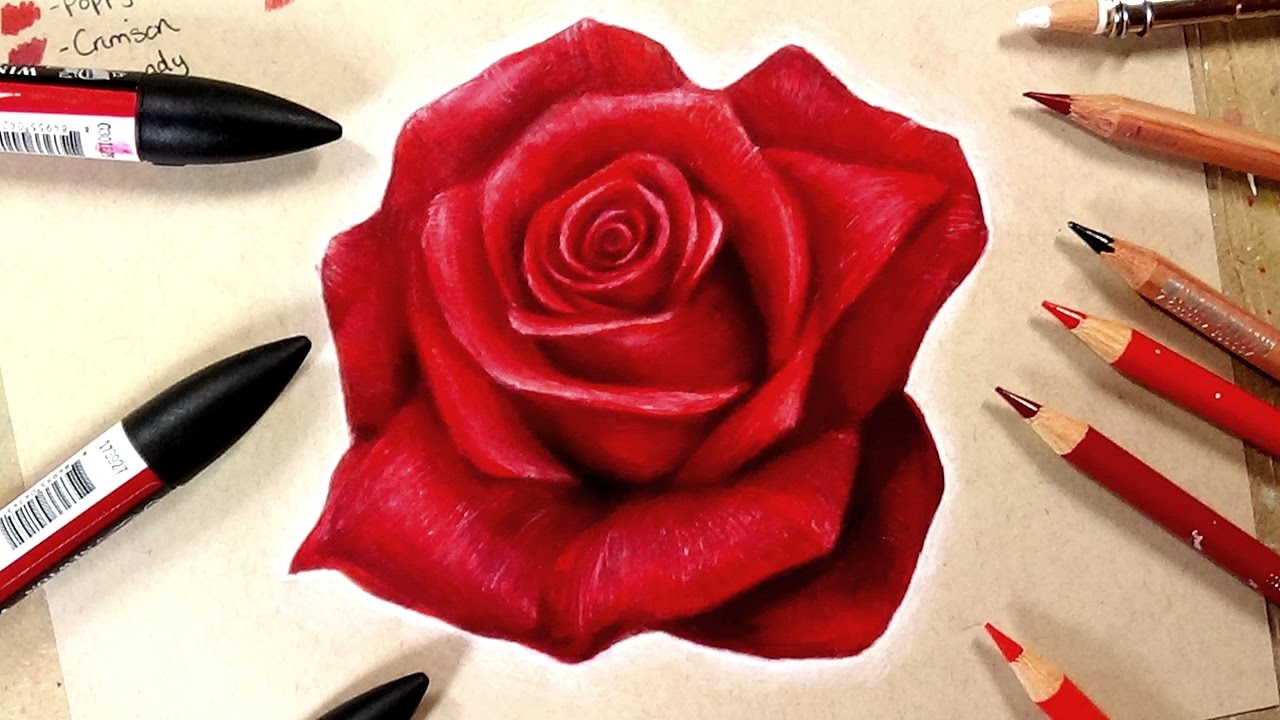 1280x720 How To Draw A Realistic Rose - Red Rose Drawing
