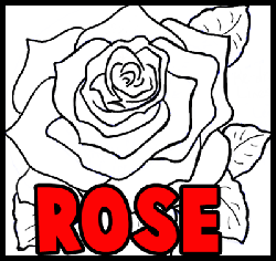 250x236 How To Draw Flowers Drawing Tutorials Drawing How To Draw - Red Rose Drawing Step Step