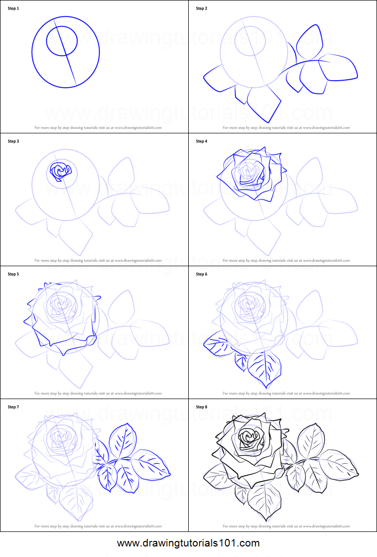 751x1111 How To Draw Red Rose Printable Step - Red Rose Drawing Step Step
