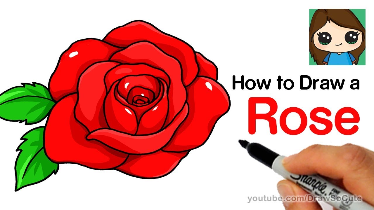 1280x720 How To Draw A Rose Step - Red Rose Drawing Step Step