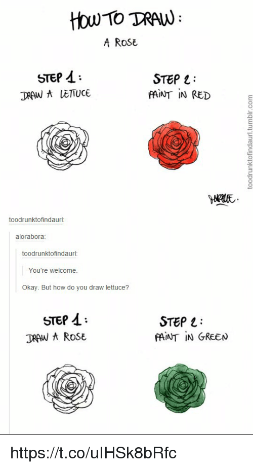 500x923 how to tran a rose step step draw a lettuce paint in red - Red Rose Drawing Step Step