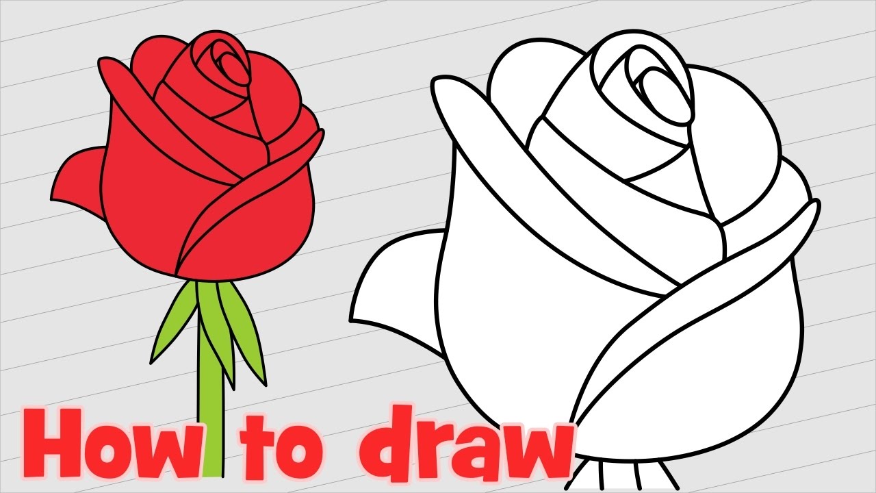 1280x720 How To Draw A Rose Step - Red Rose Drawing Step Step