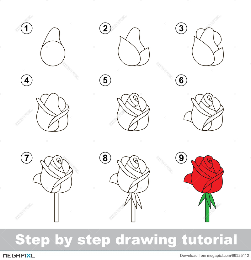 Red Rose Drawing Easy Step By Step
