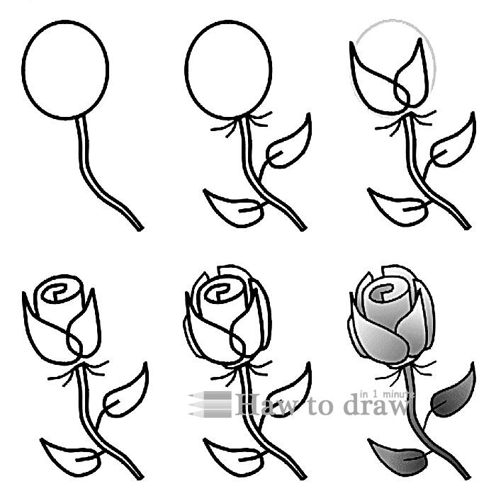700x700 Drawn Red Rose Simple - Red Rose Drawing Step Step