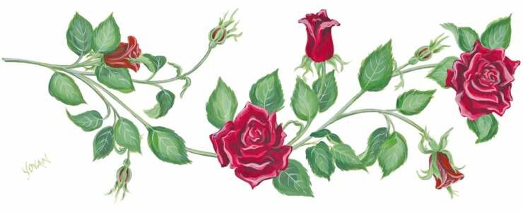 740x301 rose vine stationary artill ideasampinspiration vine drawing - Red Vines Drawing