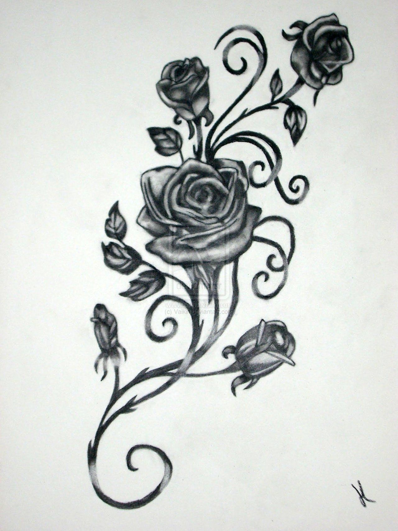 1280x1706 roses with vines drawing rose vine drawing black rose vine - Red Vines Drawing