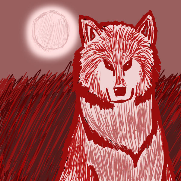 600x600 Red Wolf Drawing - Red Wolf Drawing