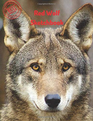 387x500 red wolf sketchbook blank paper for drawing, doodling - Red Wolf Drawing