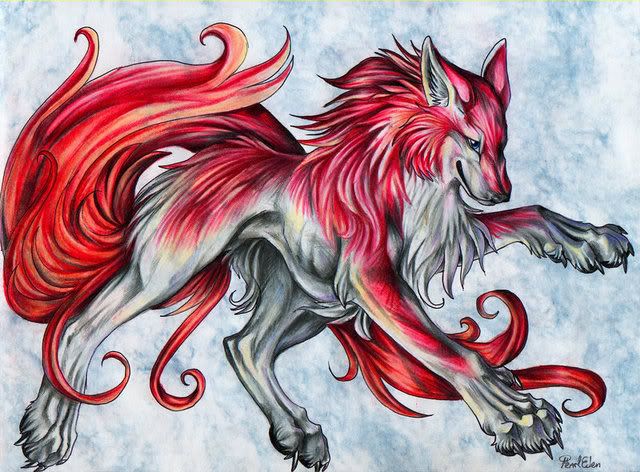 640x472 Red Wolf Inspiration - Red Wolf Drawing