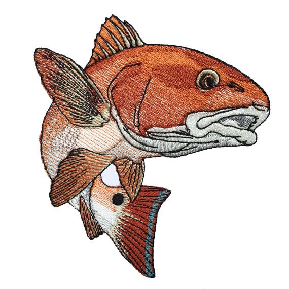 Redfish Drawing at Explore collection of Redfish