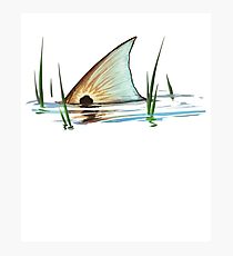 210x230 Redfish Drawing Photographic Prints Redbubble - Redfish Drawing
