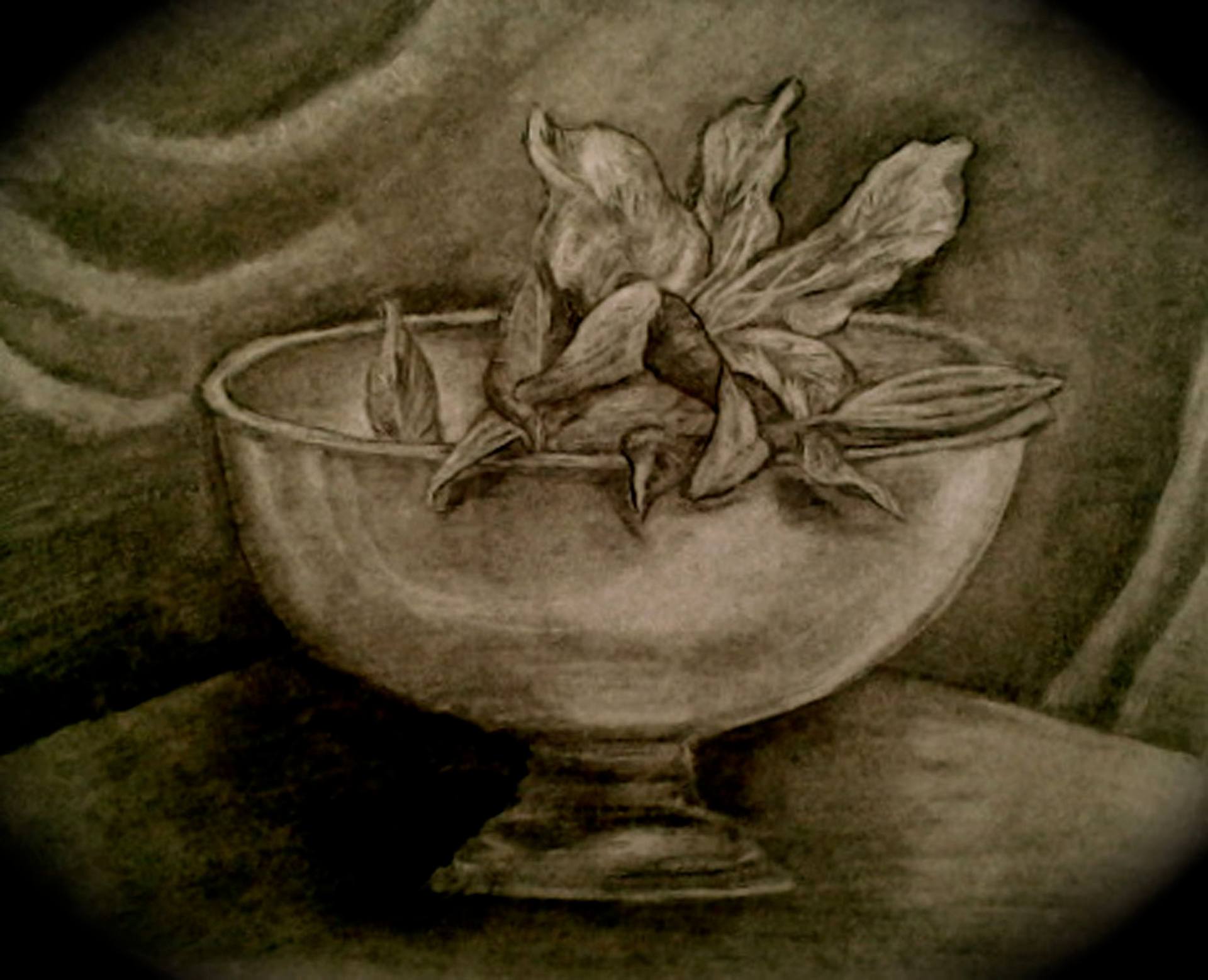 1920x1558 Flowers Drawing - Reduction Drawing