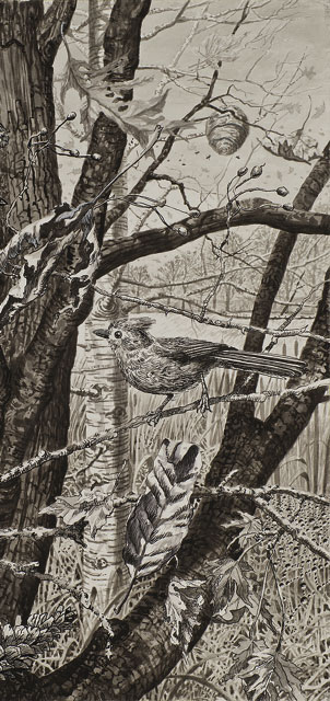 302x640 beginning drawing charcoal reduction glen arbor arts center - Reduction Drawing