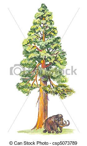 281x470 giant redwood clipart - Redwood Drawing