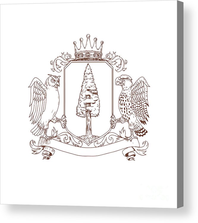 666x750 owl and hawk redwood crown crest drawing acrylic print - Redwood Drawing