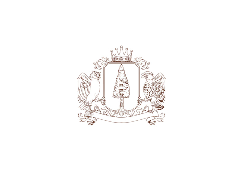 800x600 owl and hawk redwood crown crest drawing - Redwood Drawing