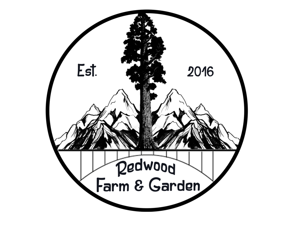 1000x778 redwood farm garden - Redwood Drawing