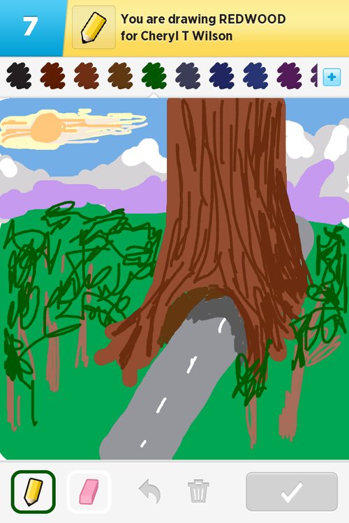 500x750 redwood drawings - Redwood Drawing