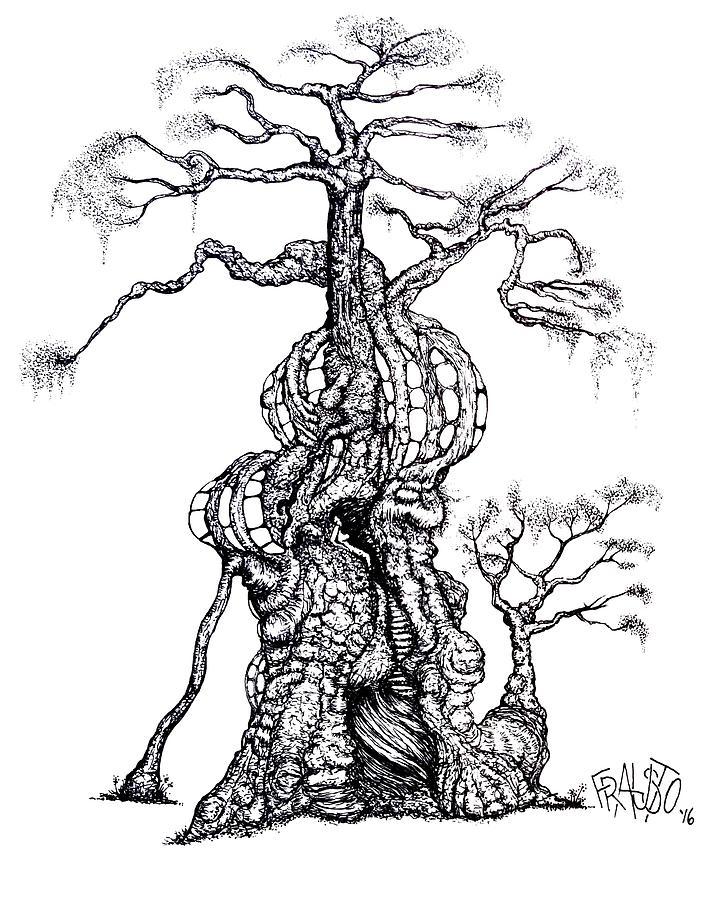 719x900 redwood tree castle drawing drawing - Redwood Drawing
