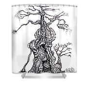 180x180 redwood tree castle drawing shower curtain for sale - Redwood Drawing