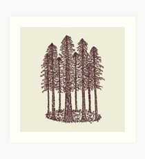 210x230 redwood tree drawing art prints redbubble - Redwood Drawing