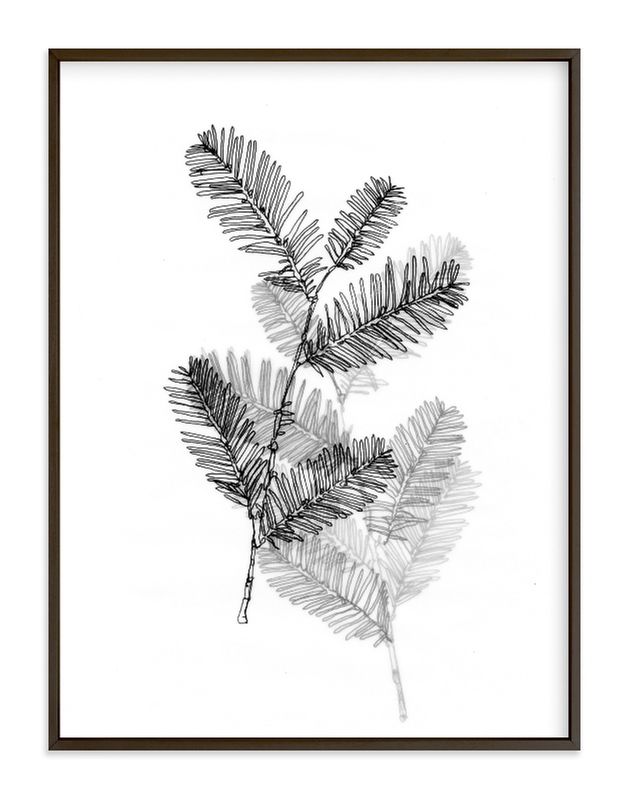 629x800 redwood wall art prints - Redwood Drawing