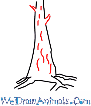 300x350 how to draw a redwood tree - Redwood Forest Drawing