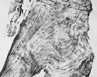 340x270 redwood tree print etsy - Redwood Tree Drawing