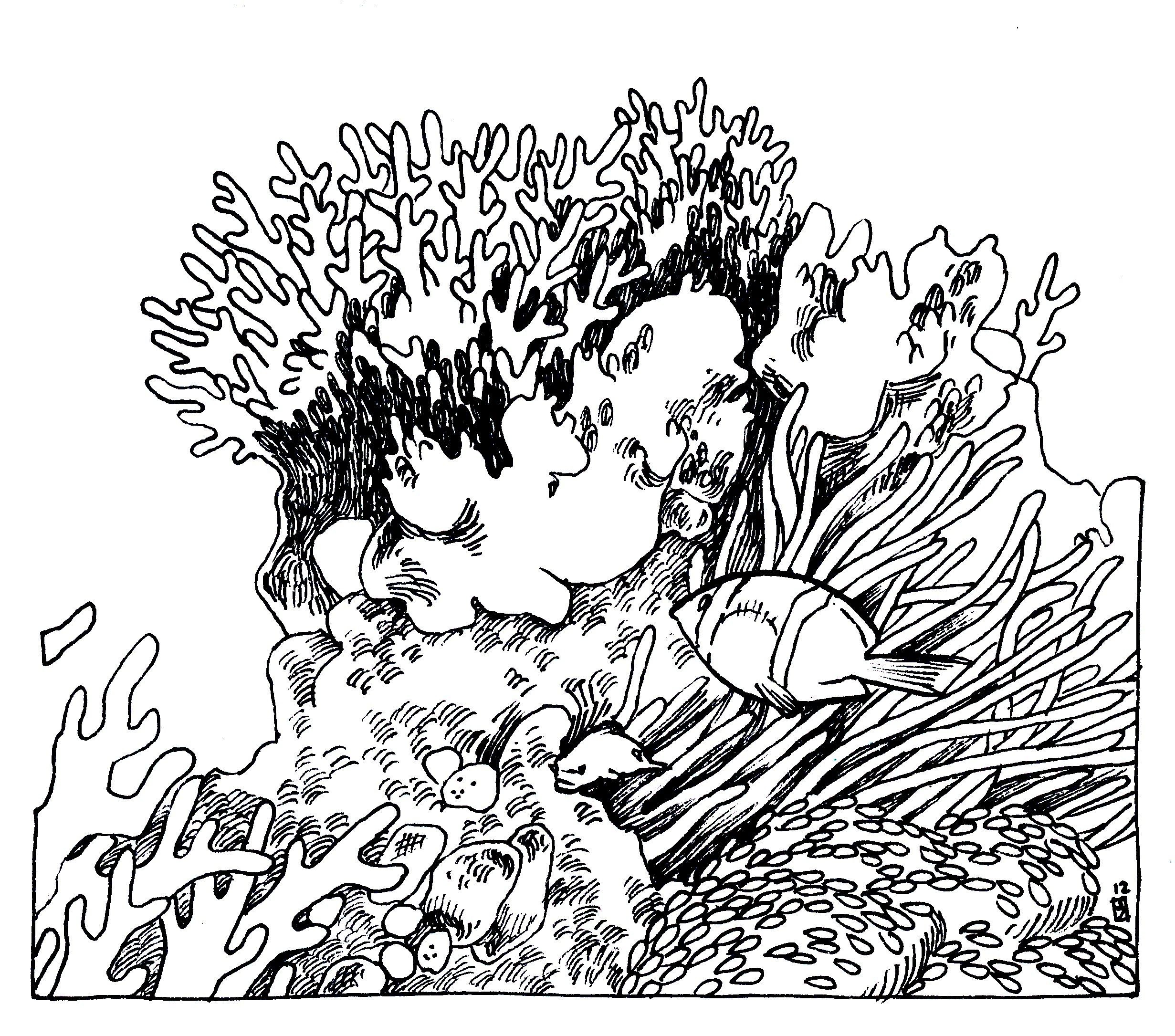 2462x2171 coral reef drawing - Reef Drawing