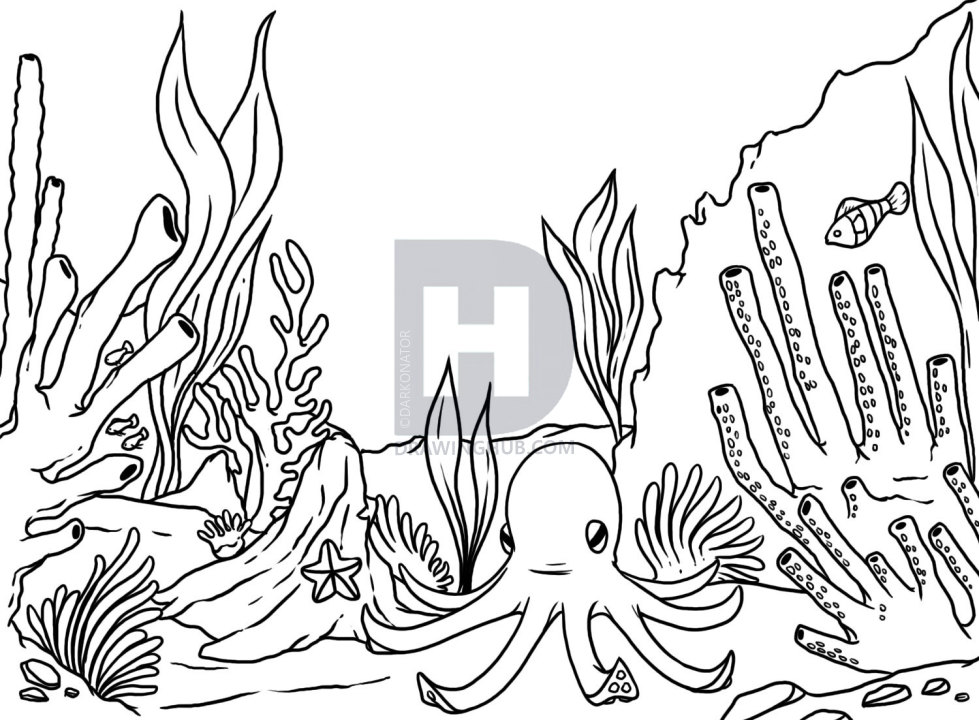 979x720 how to draw a coral reef, step - Reef Drawing