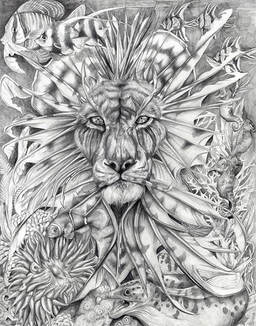 500x637 oceanus', king of the aquarist's reef graphite drawing - Reef Drawing