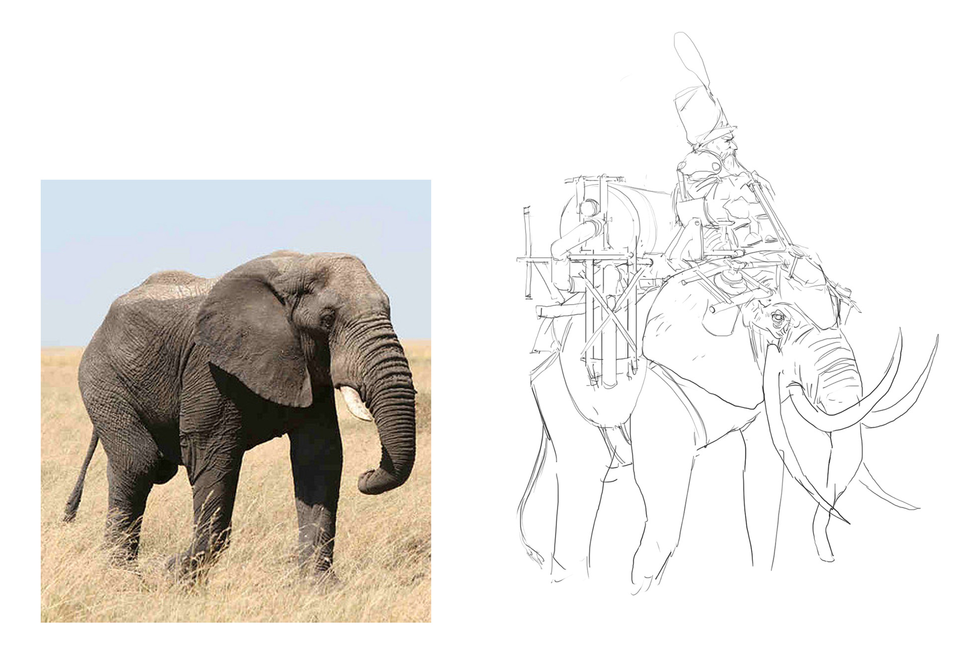 1920x1306 Foundation Art Group - Reference Pictures For Drawing