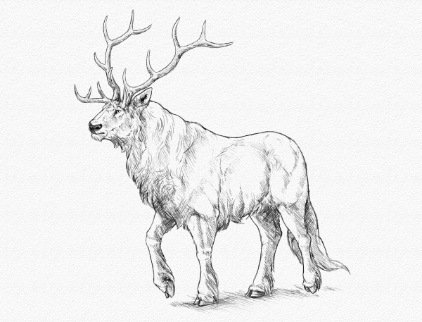 600x457 How To Draw Creatively Using Photo References - Reference Pictures For Drawing