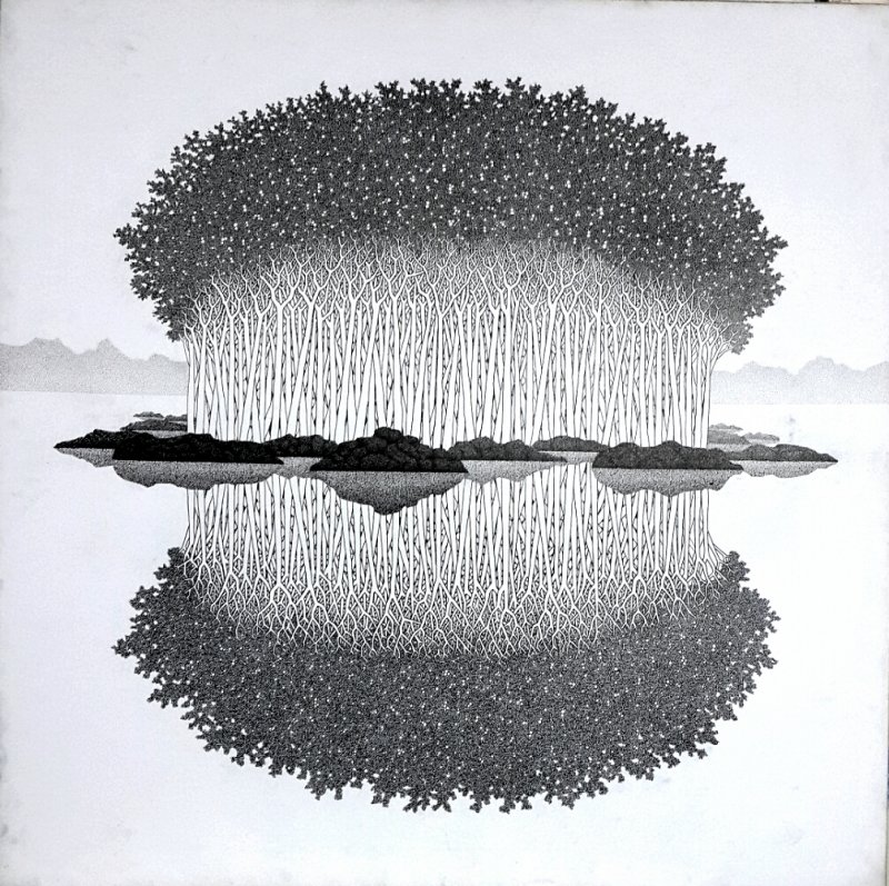 800x797 reflection ii - Reflection Drawing