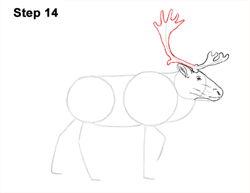 500x386 how to draw a reindeer - Reindeer Antlers Drawing