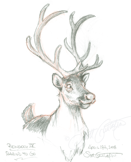 Reindeer Antlers Drawing at Explore collection of