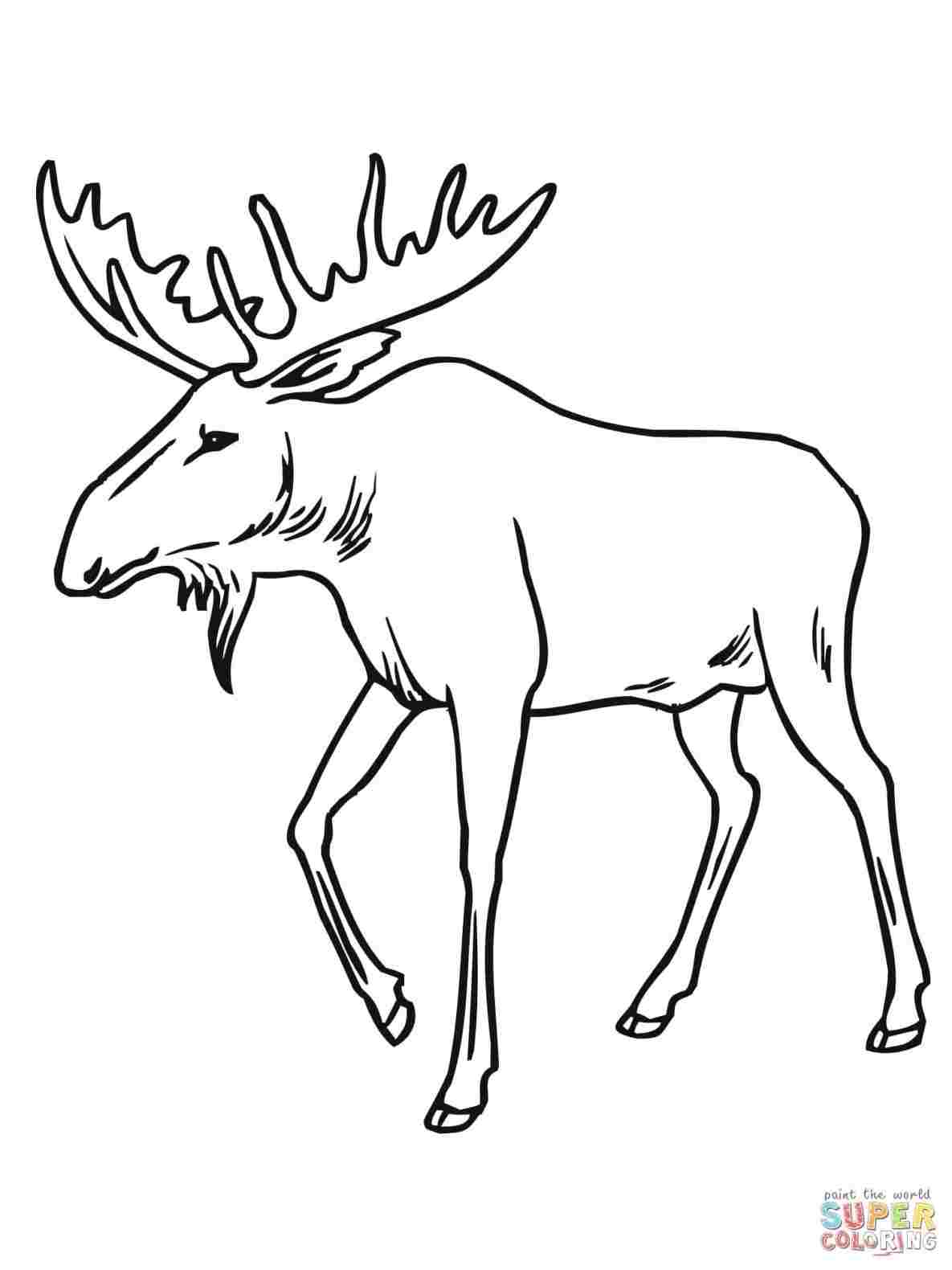 1185x1580 free for personal use rhgdpictureus reindeer antlers template - Reindeer Antlers Drawing