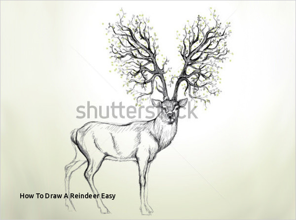 600x446 How To Draw A Reindeer Easy Easy Drawing Deer - Reindeer Drawing