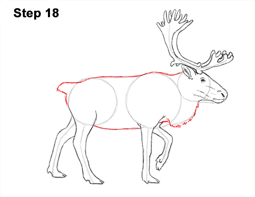 500x386 How To Draw A Reindeer - Reindeer Drawing