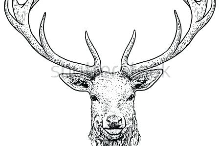 450x300 Printable Coloring Pages For Kids Head Template Reindeer Drawing - Reindeer Drawing Template