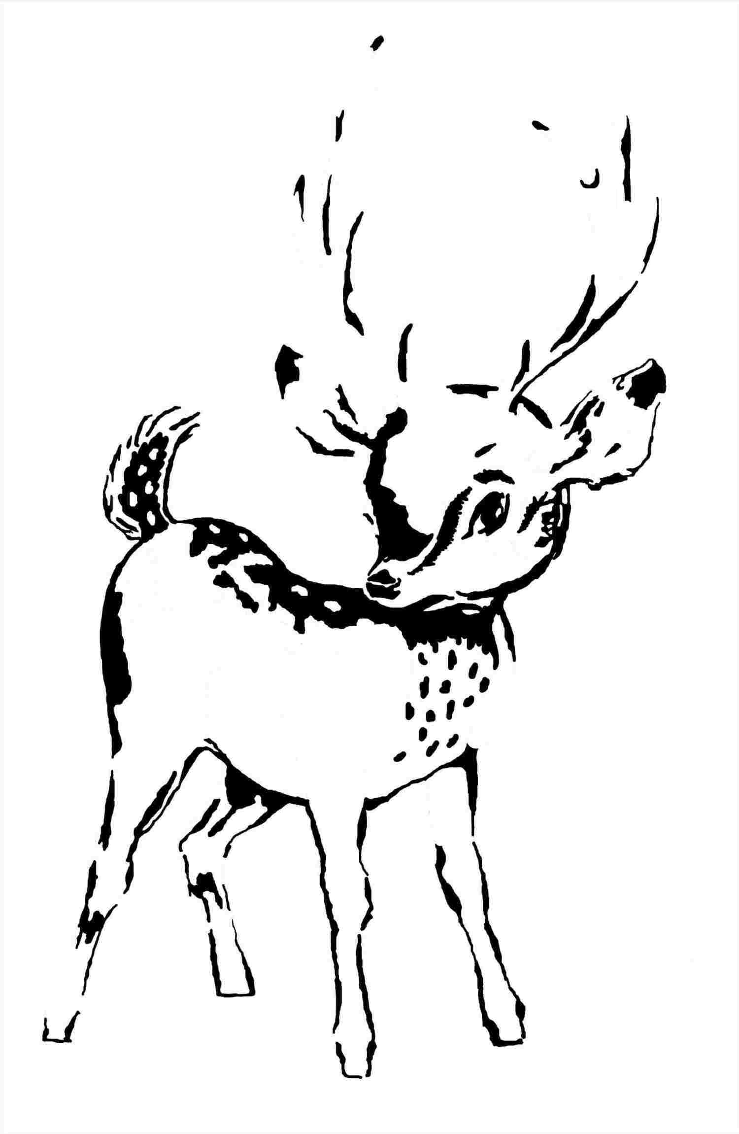 reindeer-drawing-template-at-paintingvalley-explore-collection-of