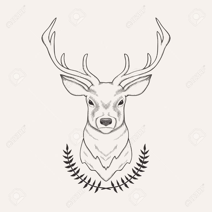 736x736 Reindeer Drawing Free Download - Reindeer Face Drawing